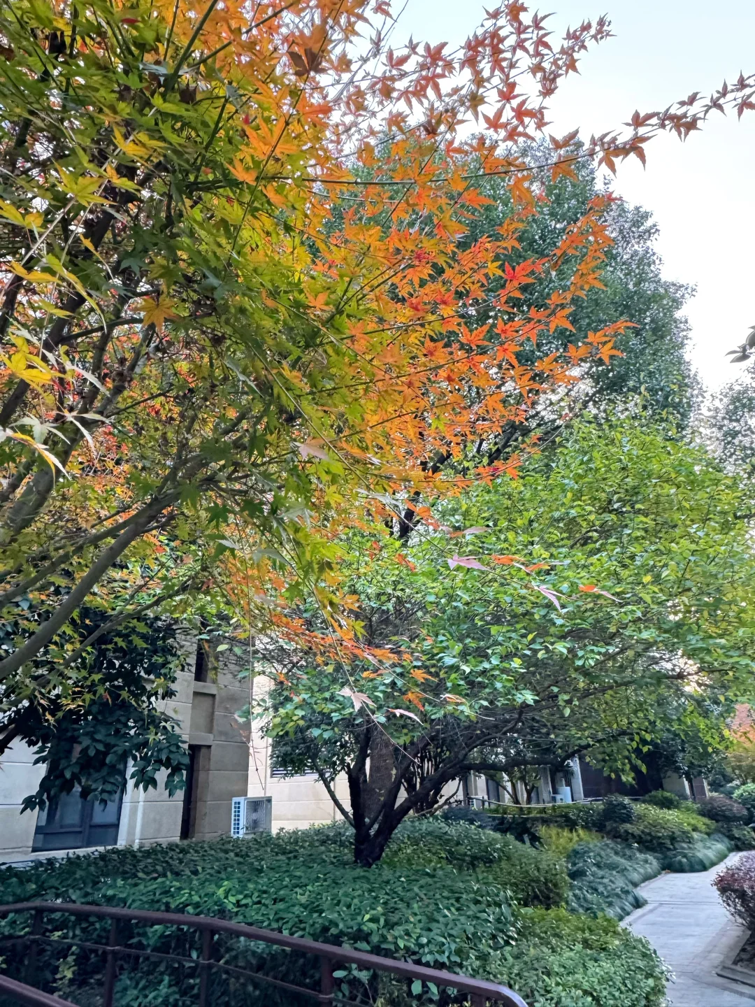 人麻了，苏州湖东豪宅，这价格又破天荒了