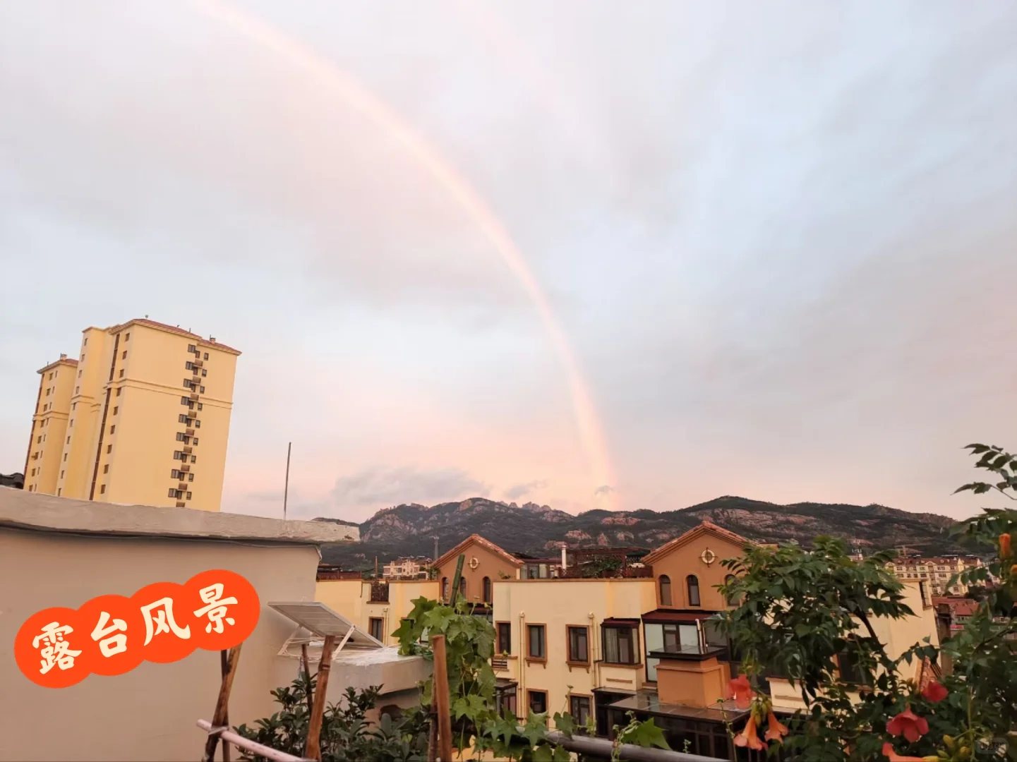 出售自家住房，祝我秒卖🏠