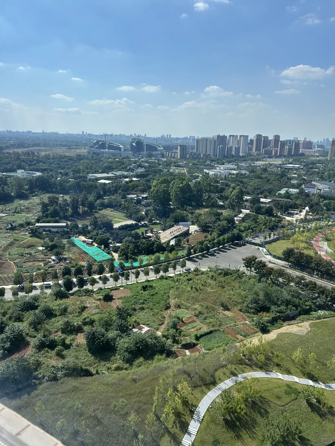 除啦干房地产好像什么都不会