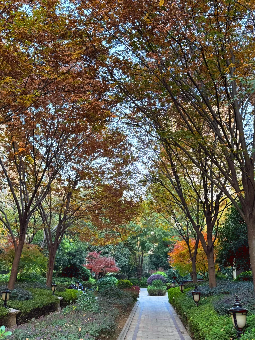 人麻了，苏州湖东豪宅，这价格又破天荒了