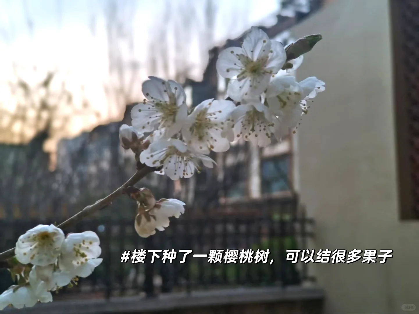 出售自家住房，祝我秒卖🏠