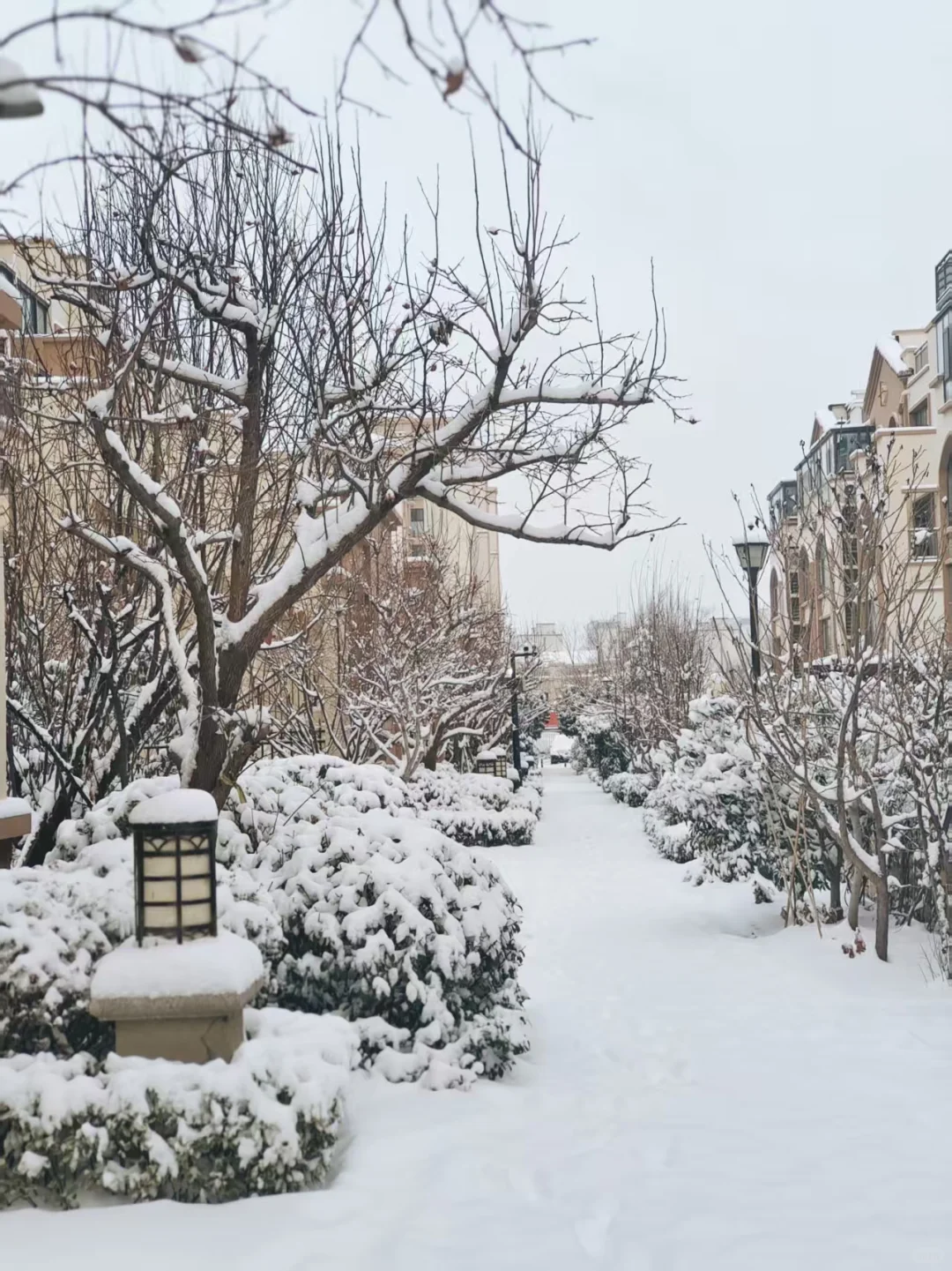 出售自家住房，祝我秒卖🏠