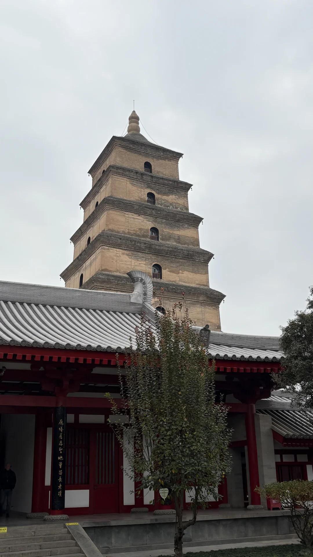 我转型啦之把兴趣做成了职业