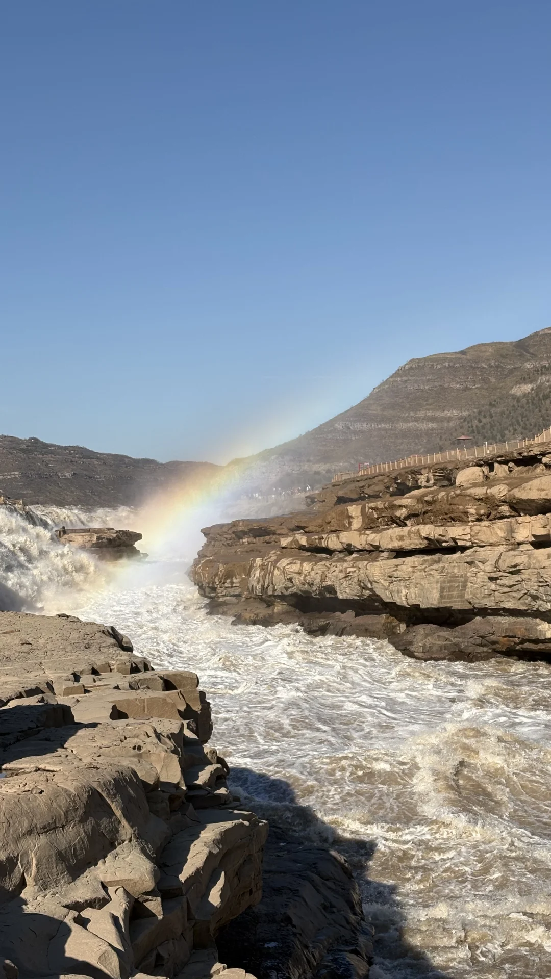 我转型啦之把兴趣做成了职业