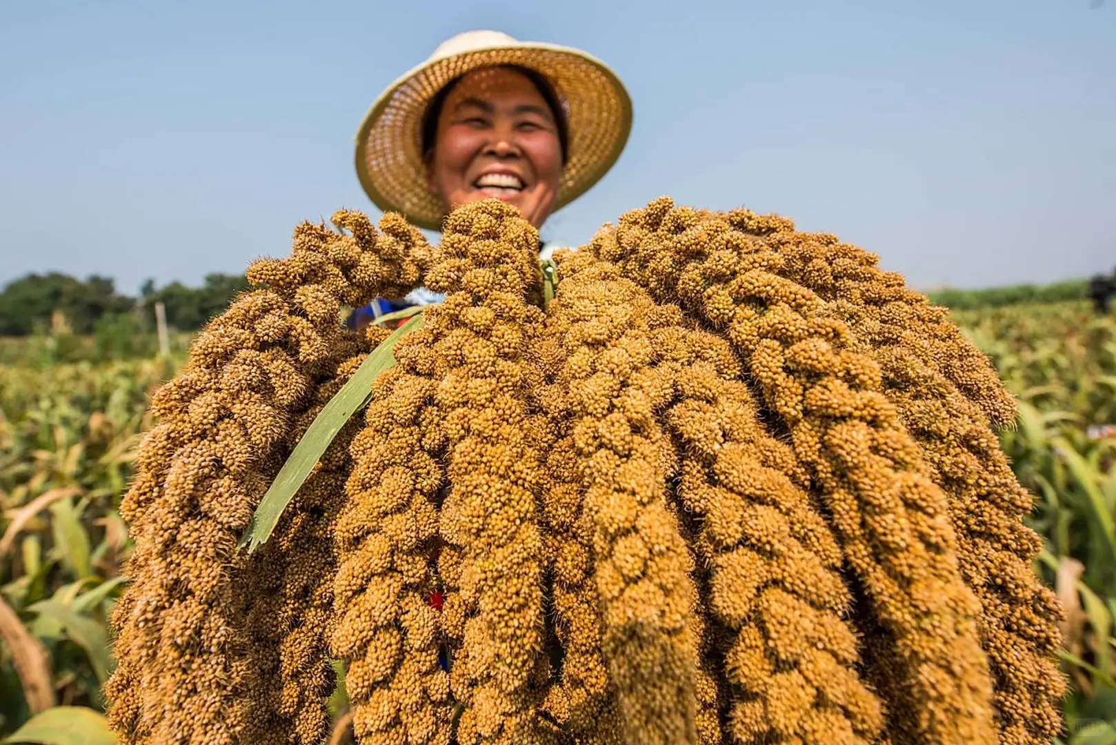 农业将取代房地产,你信吗?