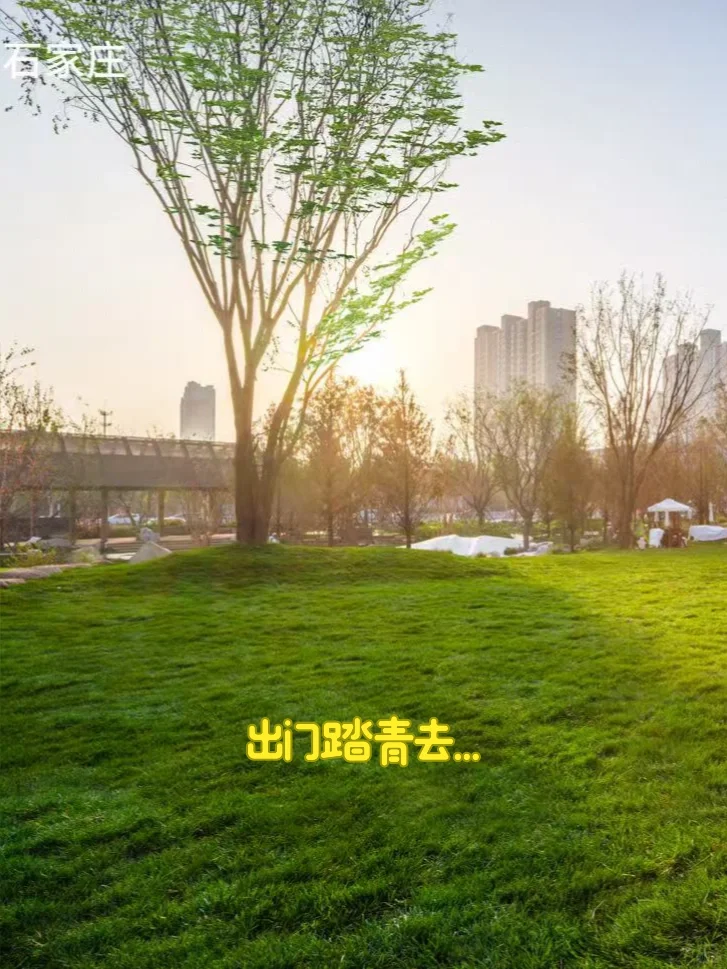 万科 精装四室112平起，上车！