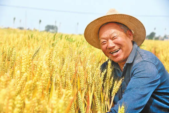 农业将取代房地产,你信吗?