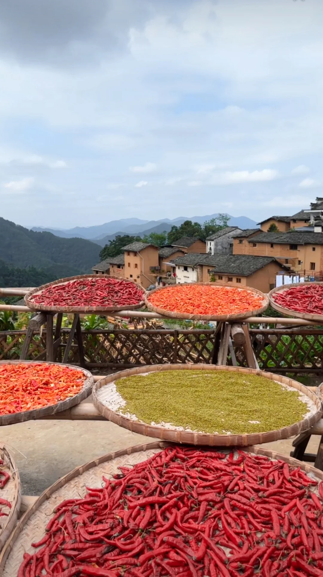 农业将取代房地产,你信吗?