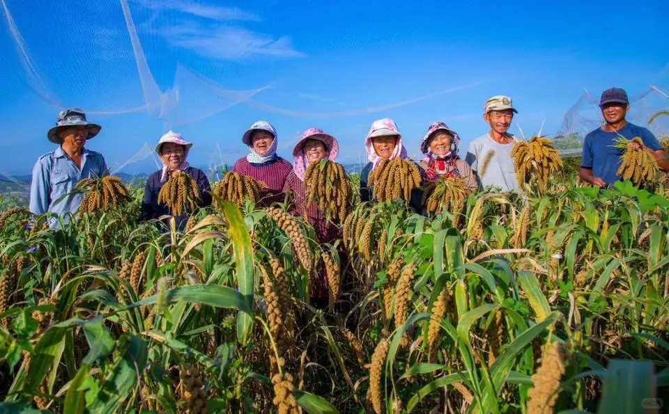 农业将取代房地产,你信吗?