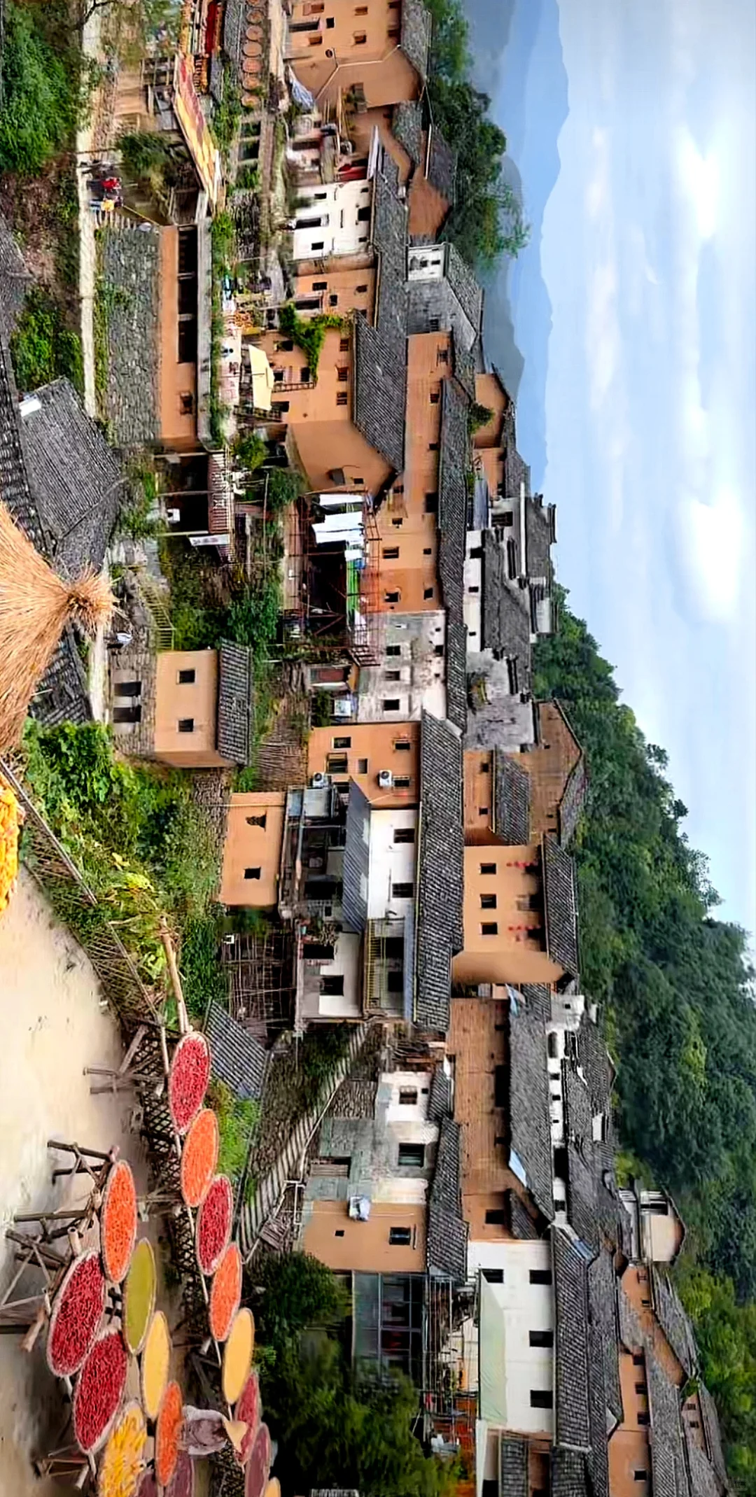 农业将取代房地产,你信吗?