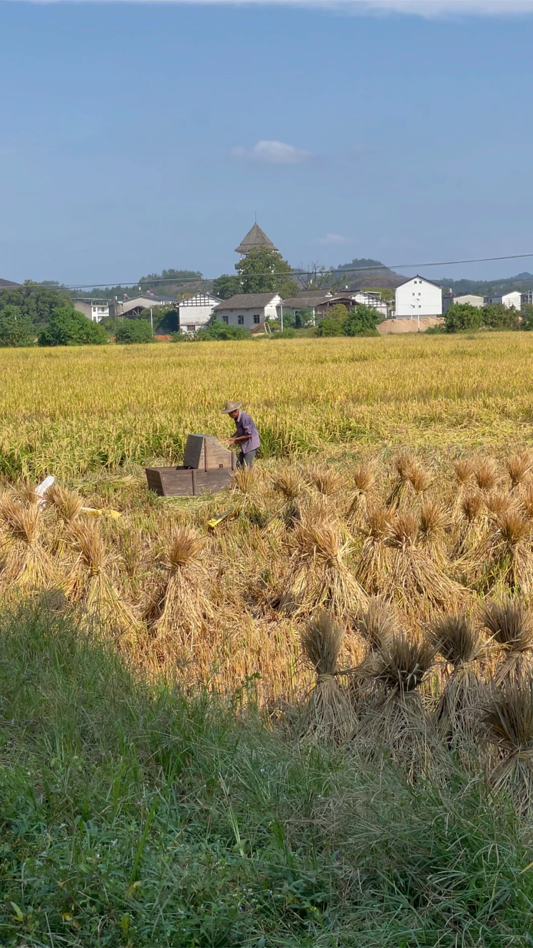 农业将取代房地产,你信吗?