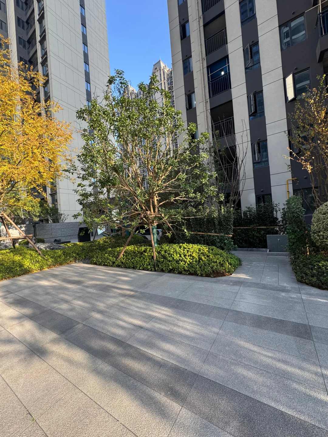 偷偷潜入准现房小区，我看到了卖家秀的真相