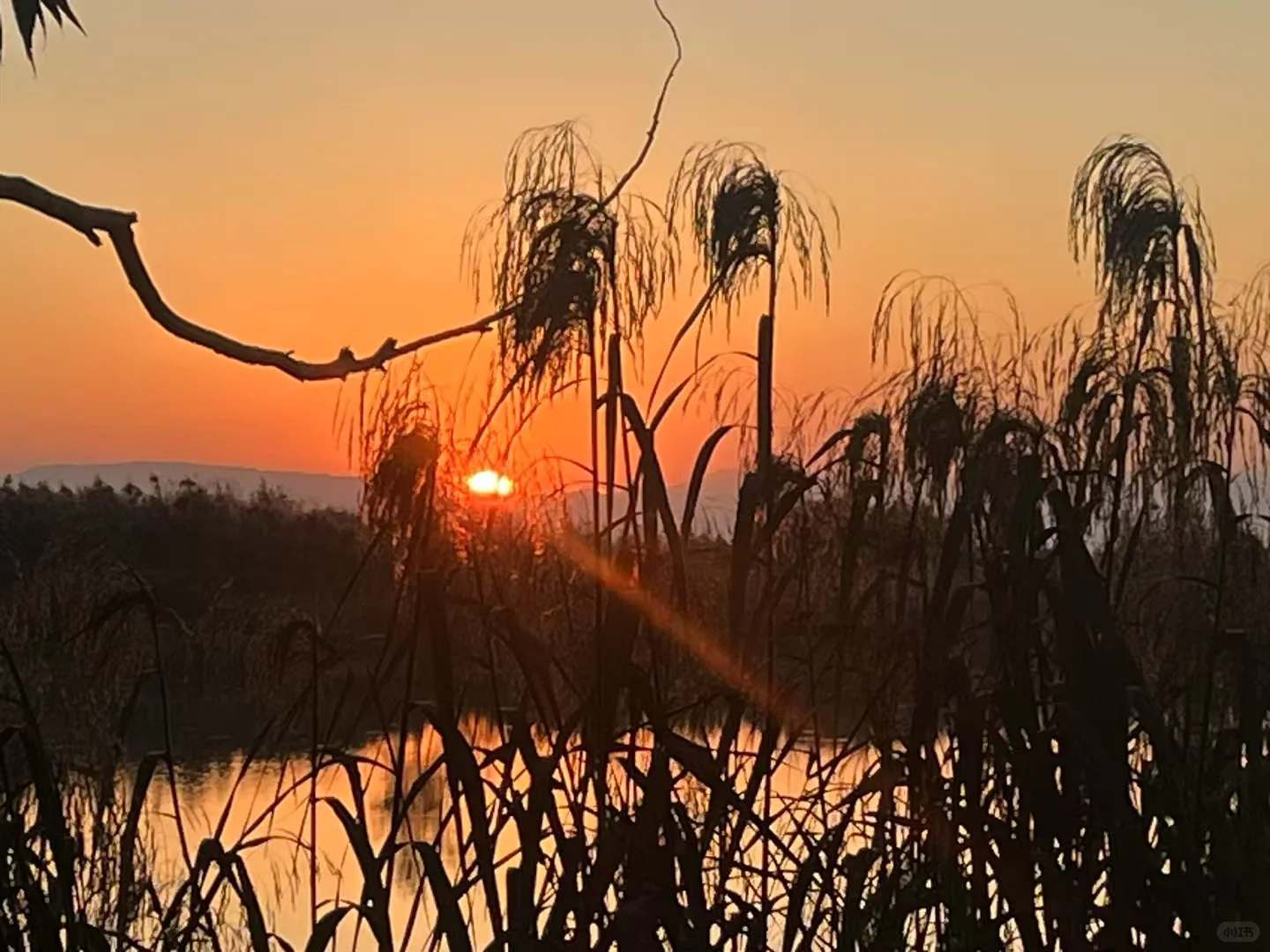 农业将取代房地产,你信吗?