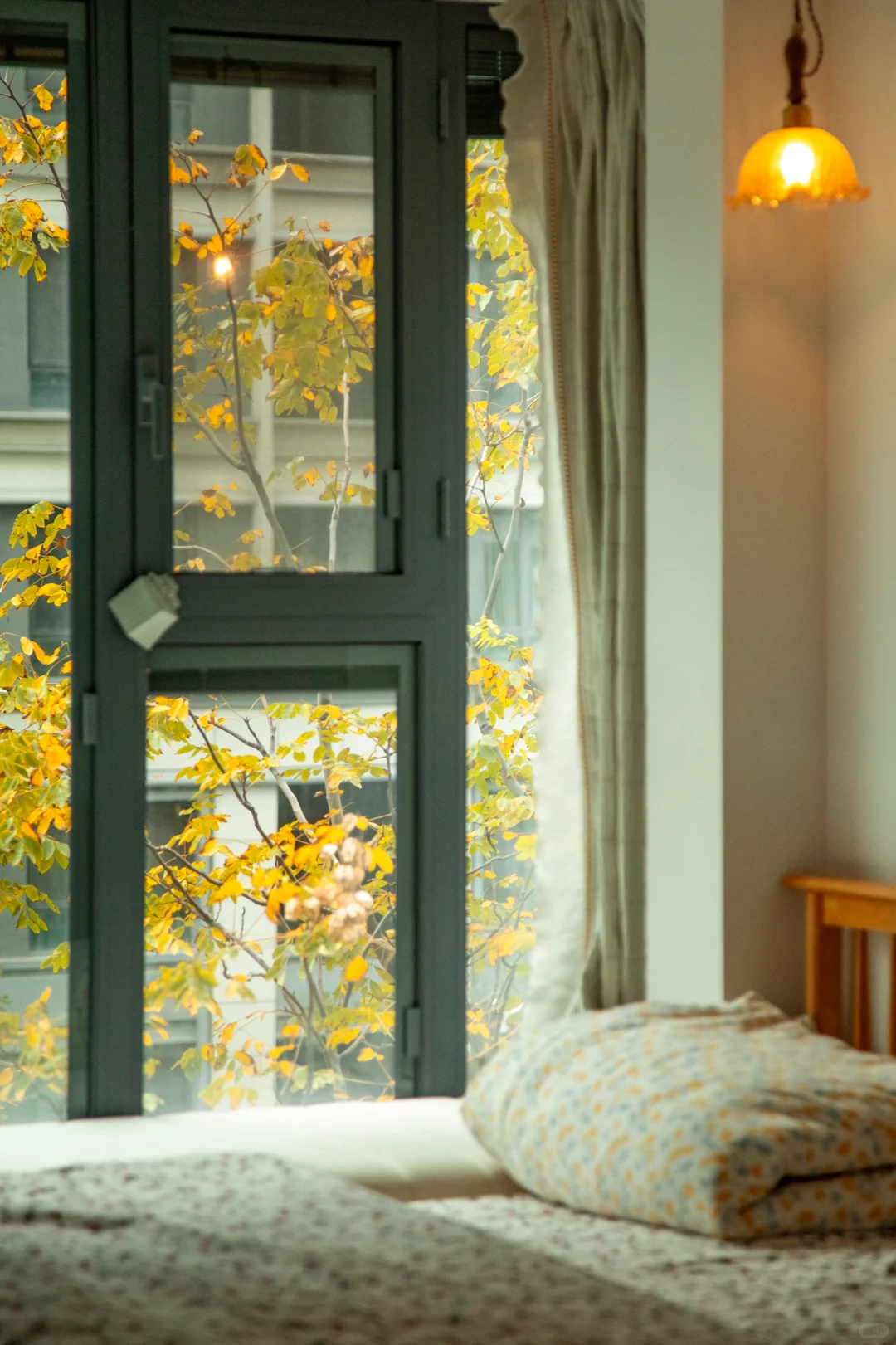 听说小红书卖房子比较快，漂亮房子待领取啦