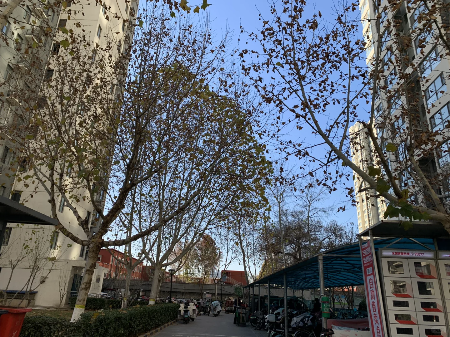 真心被这个位置香到了！中山路谈固大街，生活