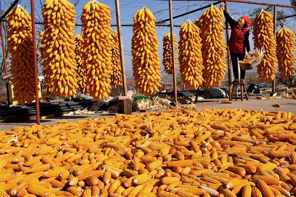 农业将取代房地产,你信吗?