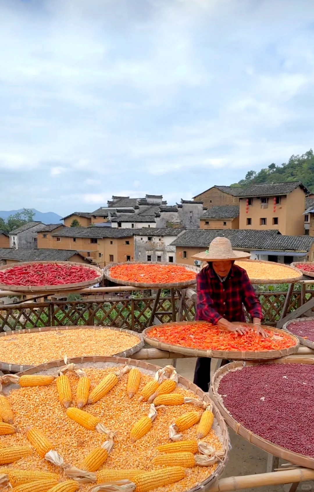 农业将取代房地产,你信吗?