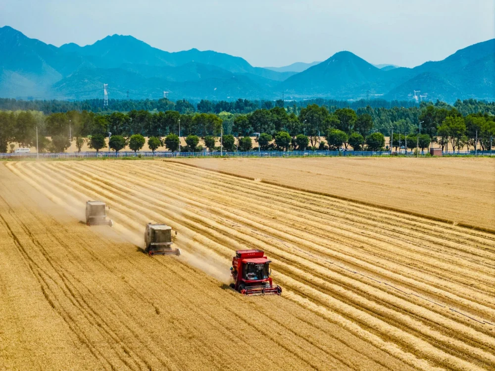 农业将取代房地产,你信吗?
