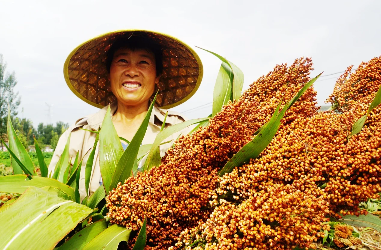 农业将取代房地产,你信吗?