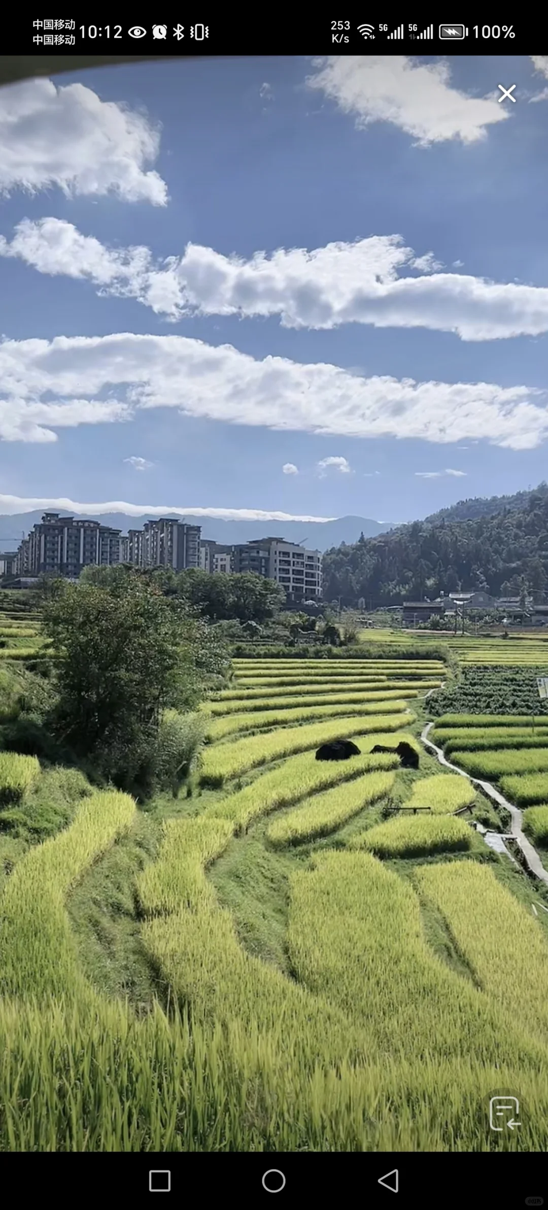 农业将取代房地产,你信吗?