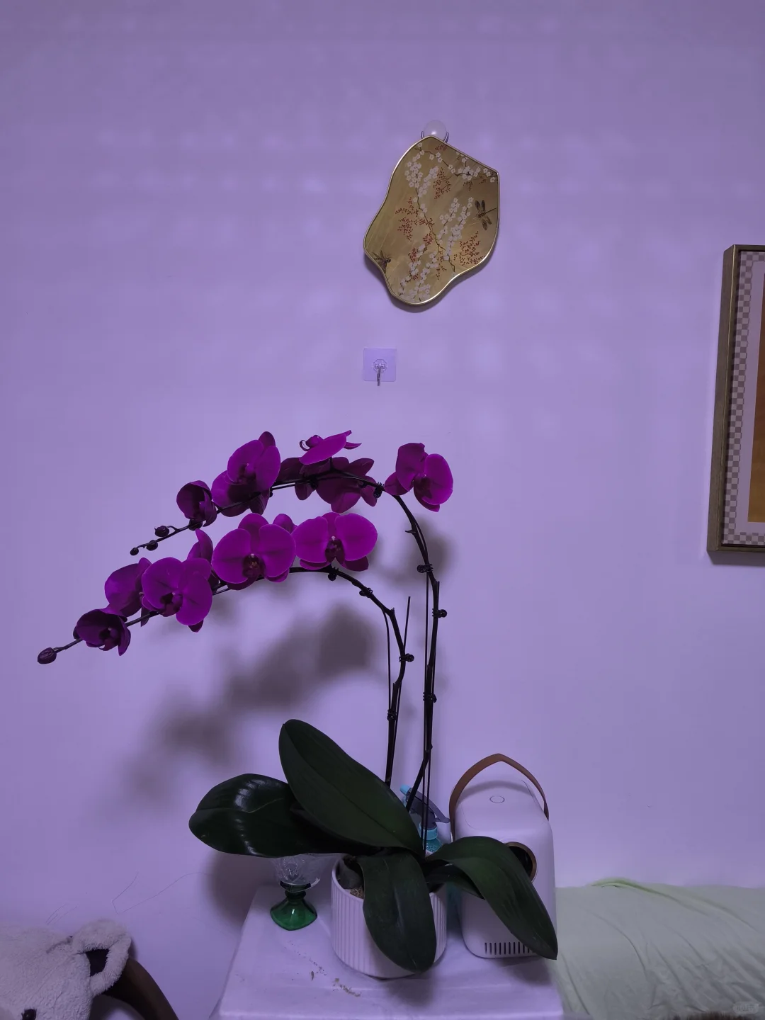 地产三件套，虽迟但到，加班停休罚💰