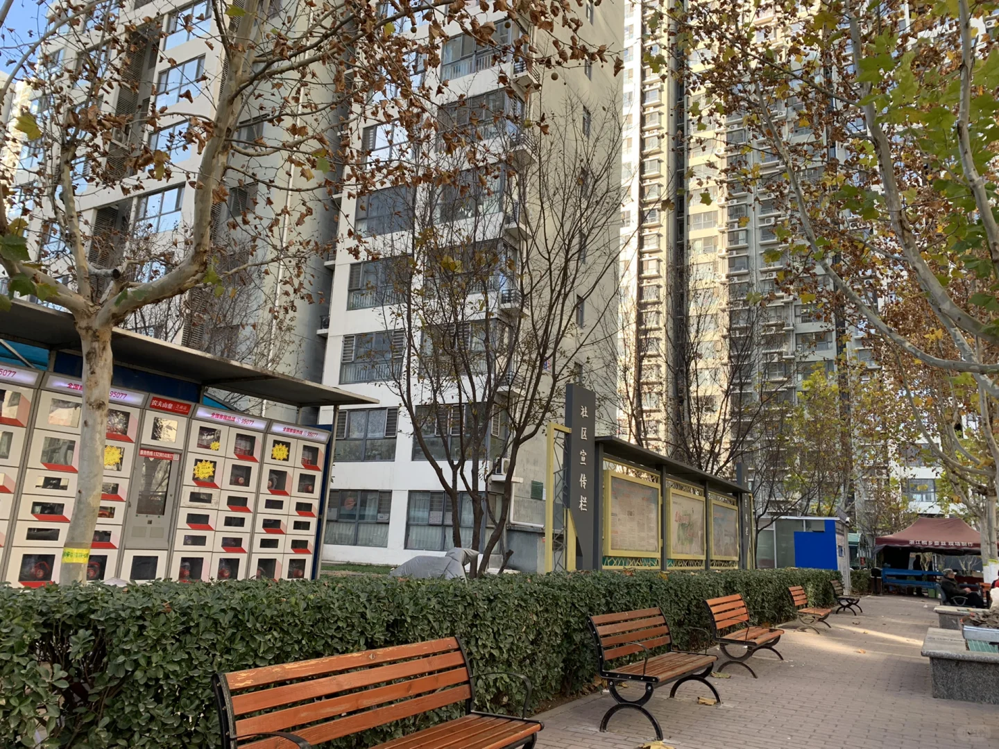 真心被这个位置香到了！中山路谈固大街，生活