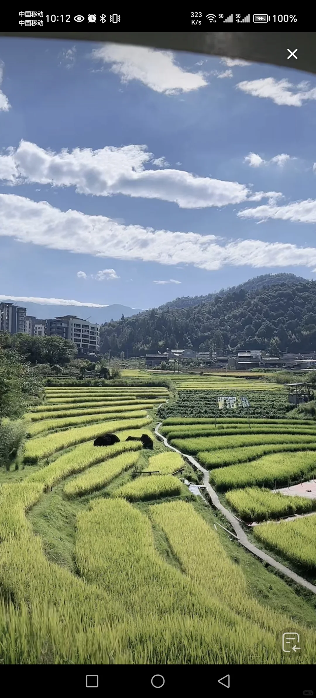 农业将取代房地产,你信吗?