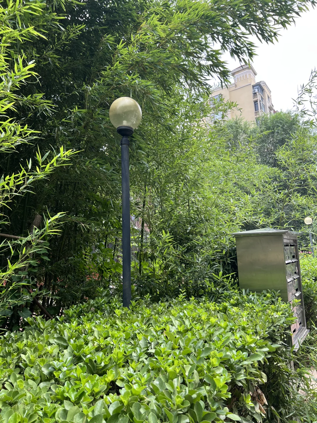 五楼到顶的老洋房🏡一楼带院，过时了没人要！