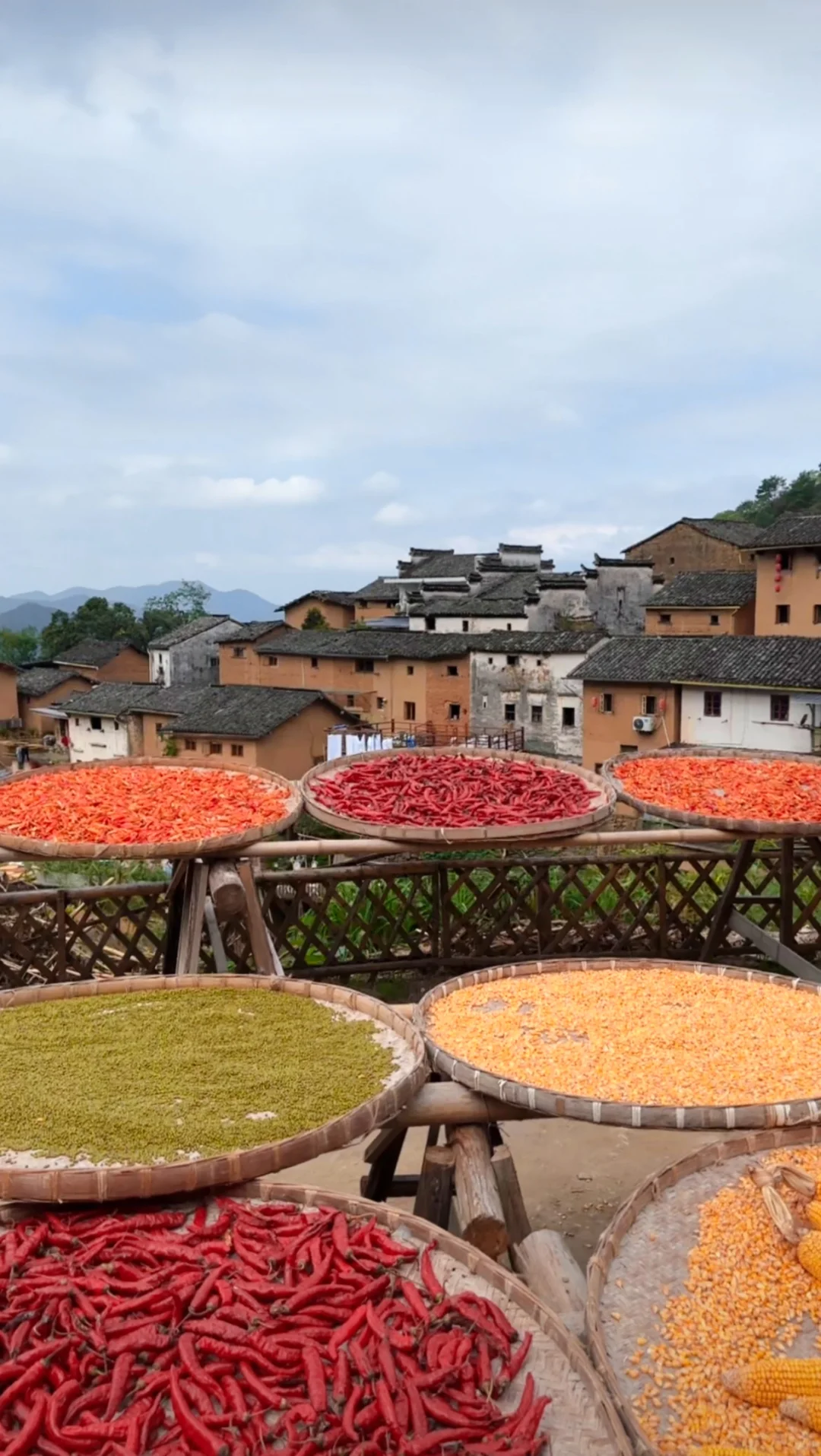 农业将取代房地产,你信吗?