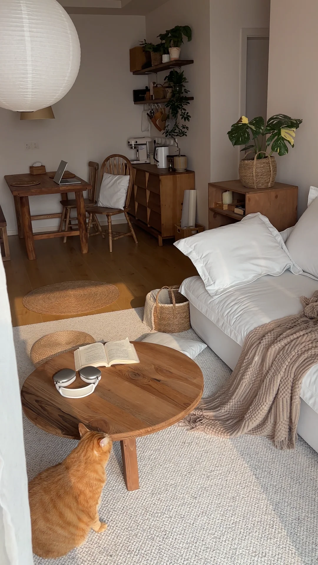 29岁住进理想的小家｜治愈的小客厅