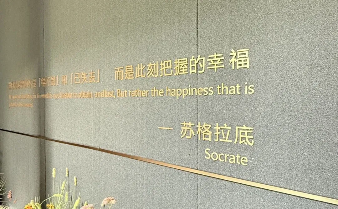 在石家庄！！看到了梦想房子🏠的具象化…