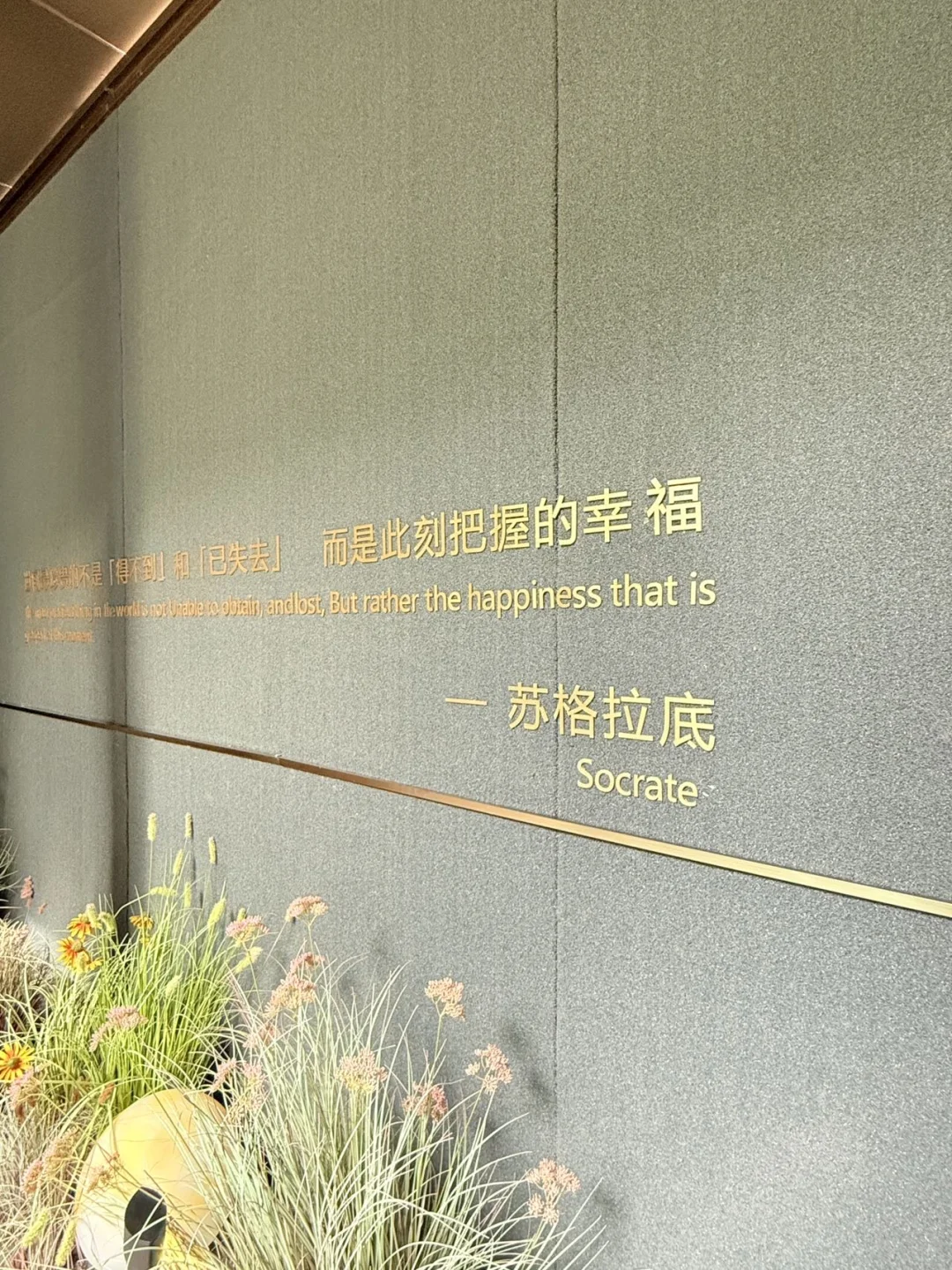 在石家庄！！看到了梦想房子🏠的具象化…