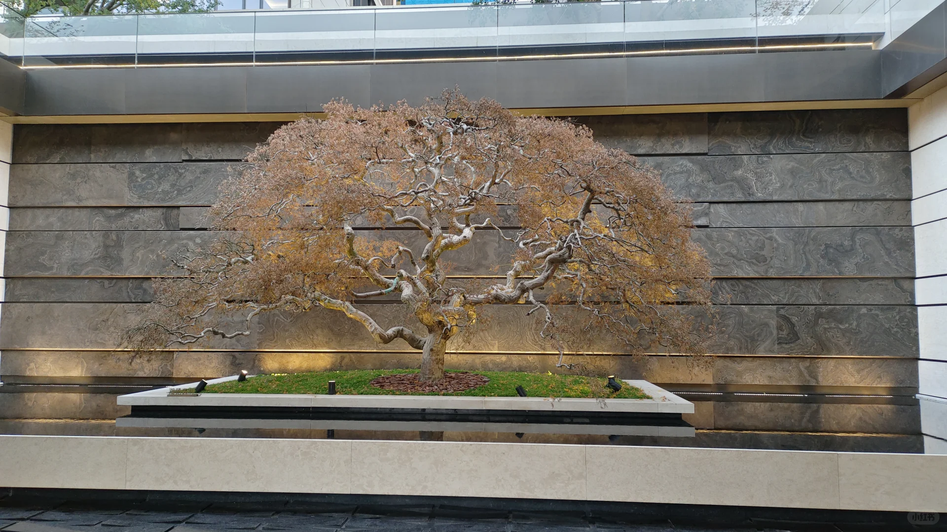 安琪儿华润项目，杭州首个六恒科技系统