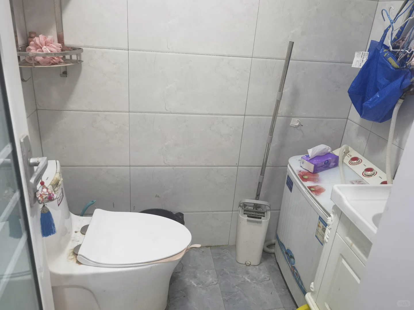 我发现小家真的很治愈～～