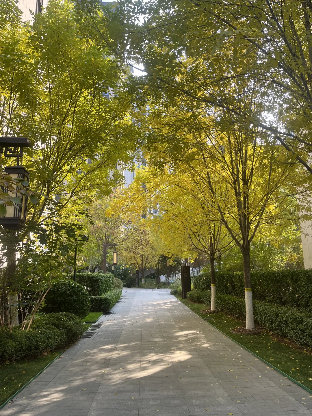 姐妹们！如果在石家庄这套房都入不了你的眼