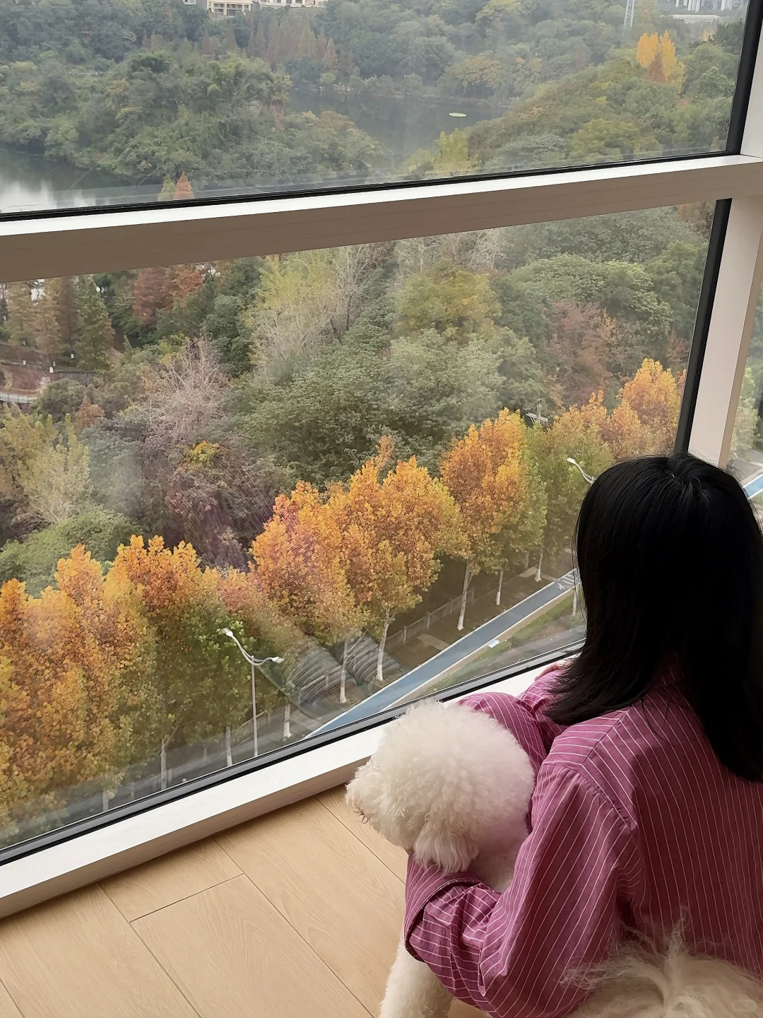 尽力了 终于把二手房改成了自己想要的样子