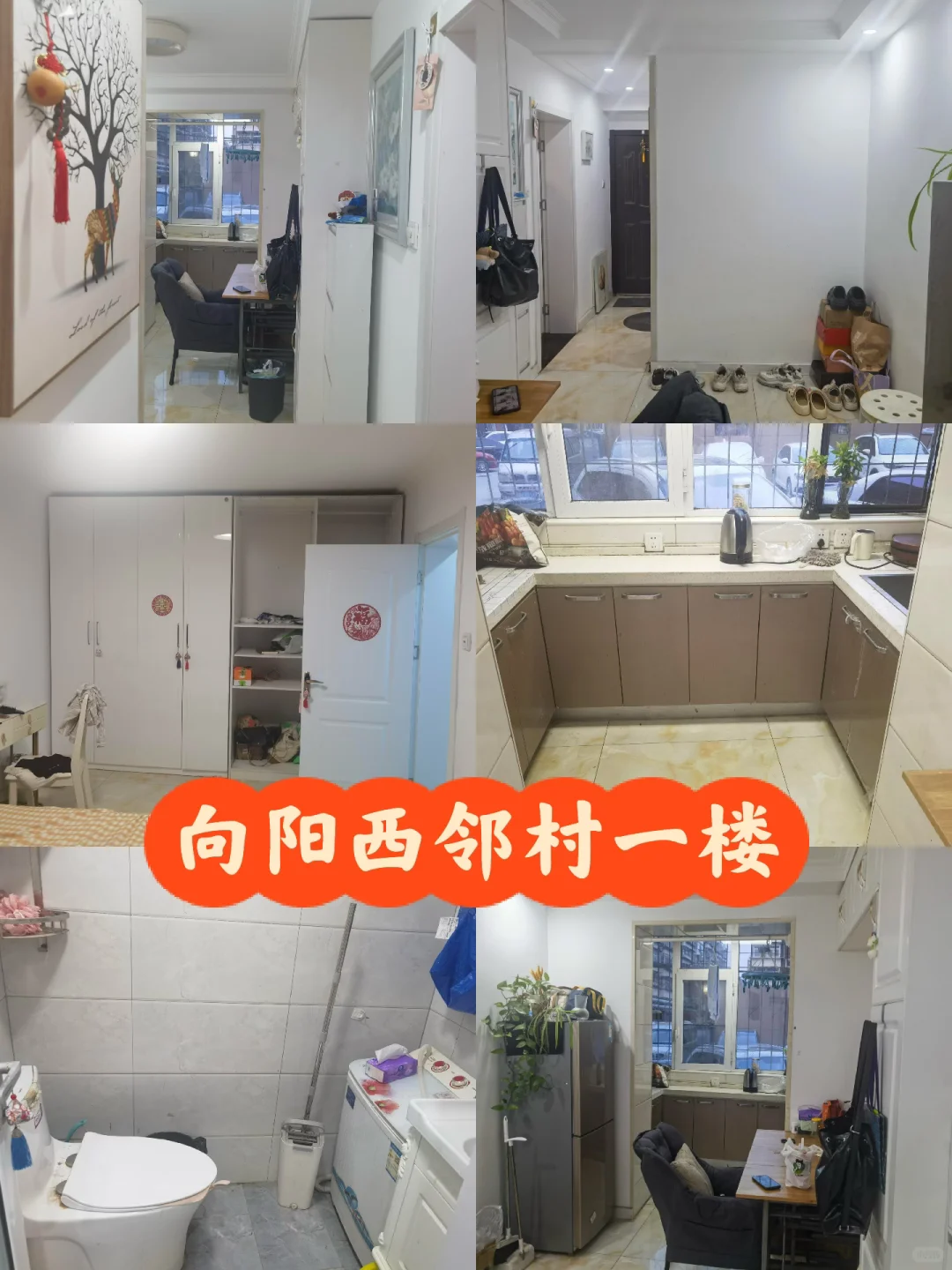 我发现小家真的很治愈～～