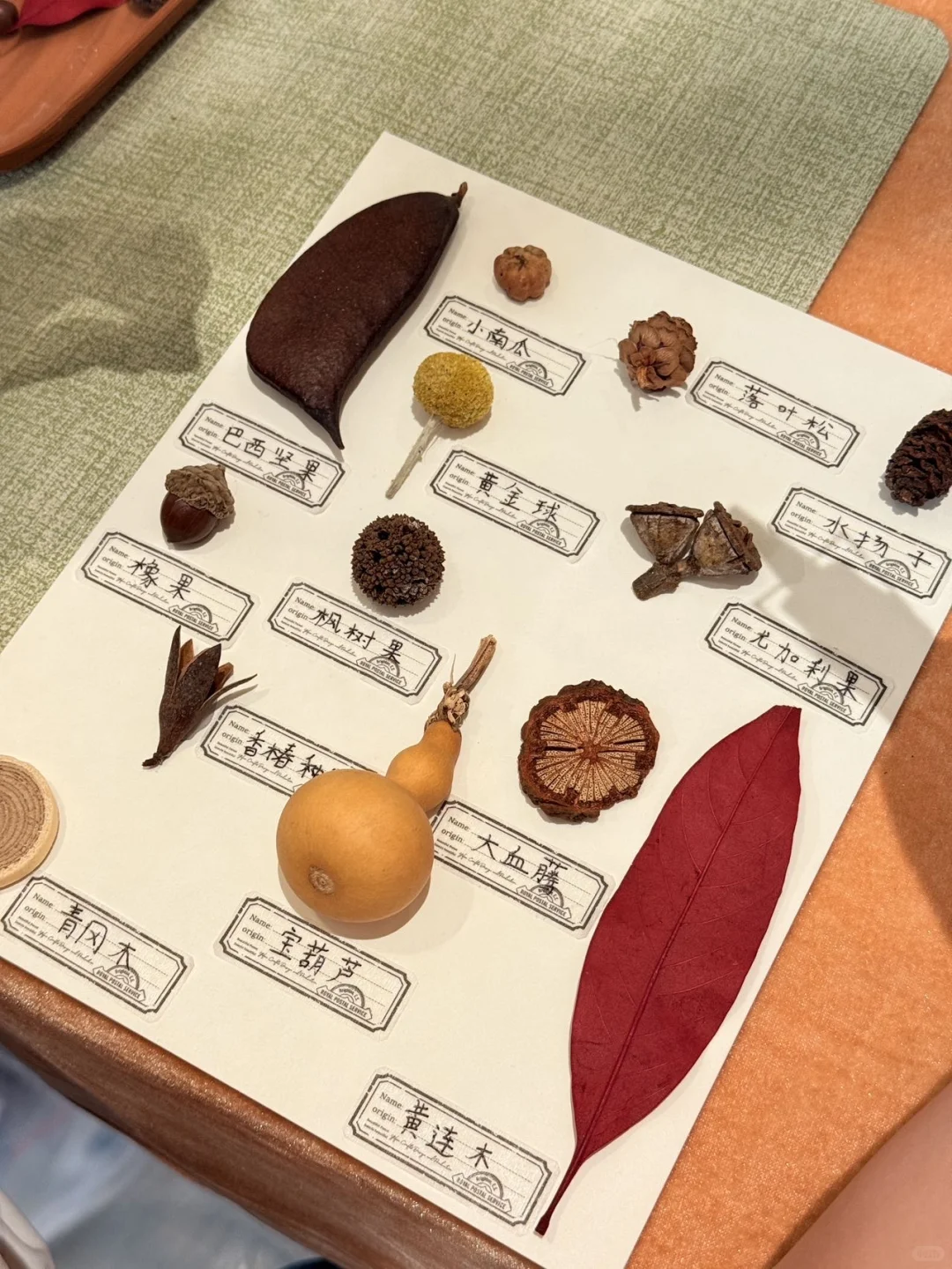 在石家庄！！看到了梦想房子🏠的具象化…