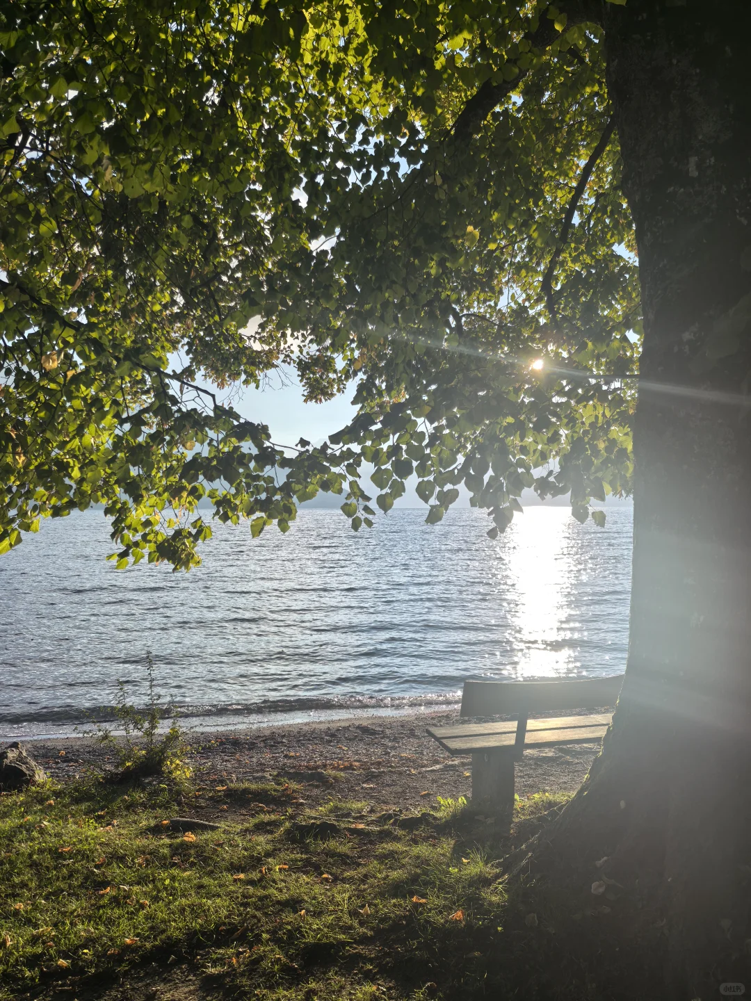 通缩尾声将至:11月CPI与房地产