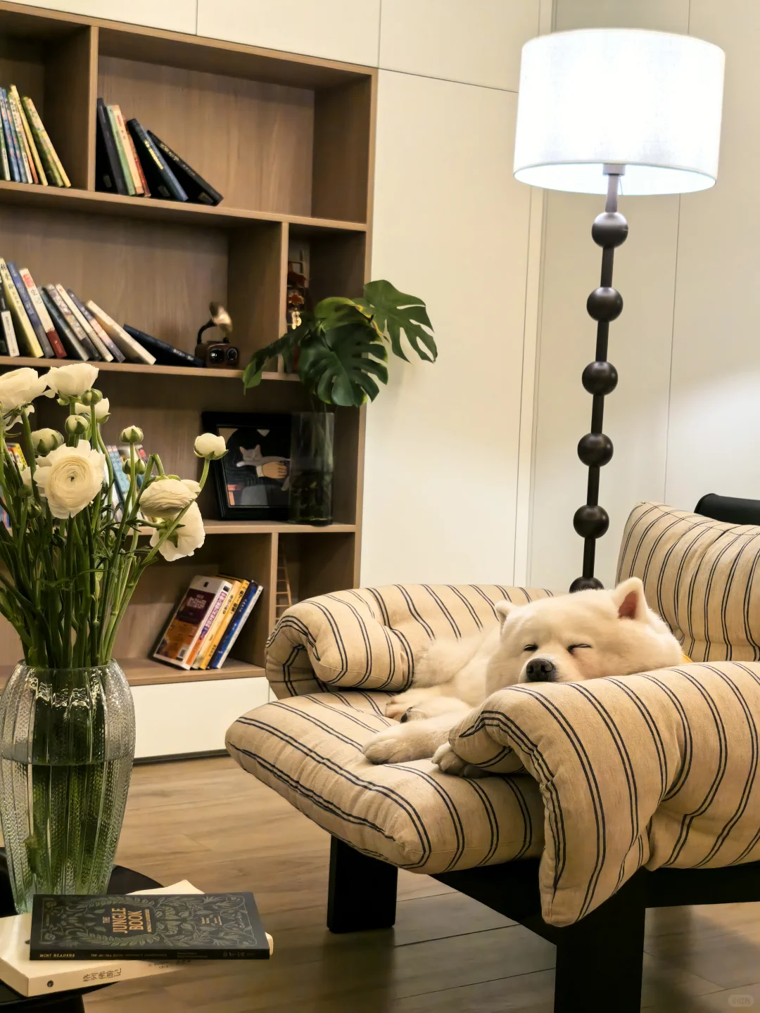 这就是放弃大平层选别墅的原因！