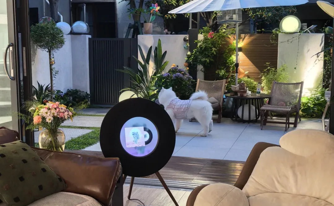 这就是放弃大平层选别墅的原因！