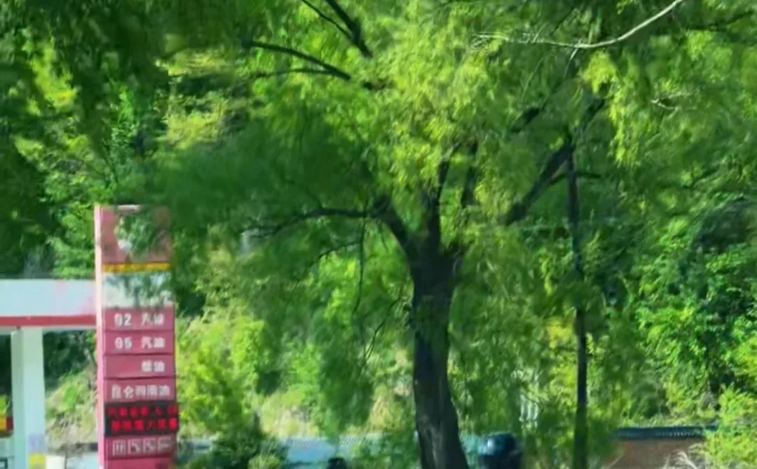 当你开始享受“边界感”