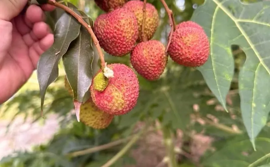 当你为“无用之事”花时间