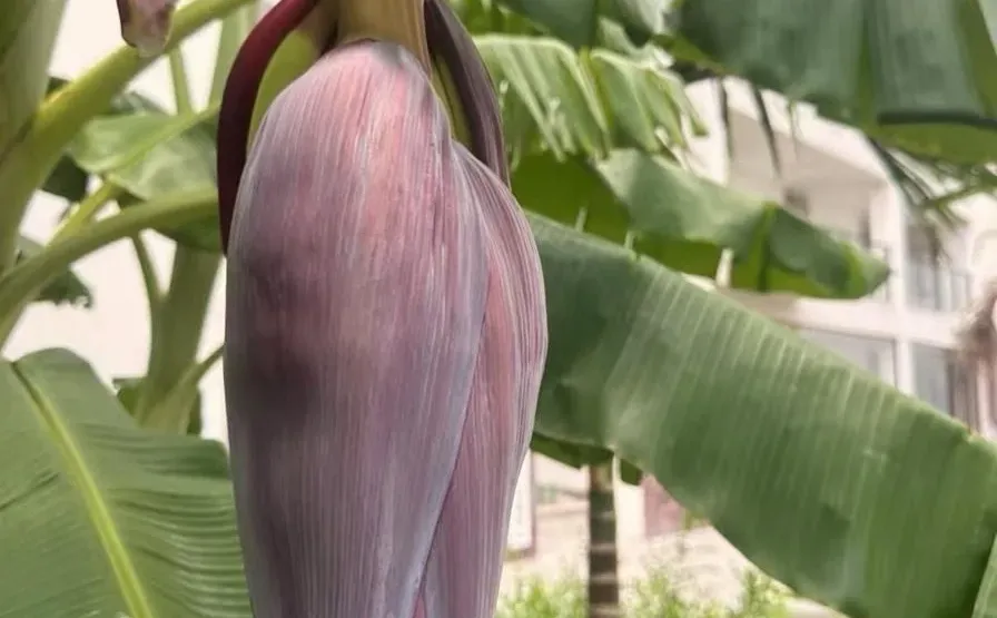 当你的“分享欲”开始消失