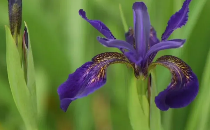 勇敢做自媒体后，我的人生开挂了