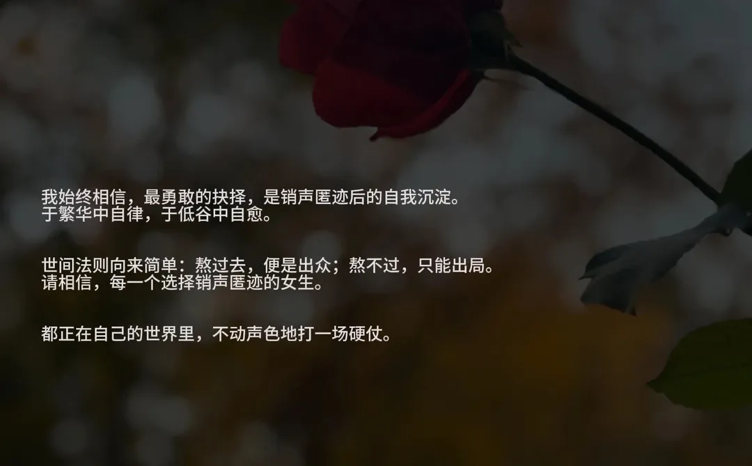 2025，蕞好的状态：销声匿迹