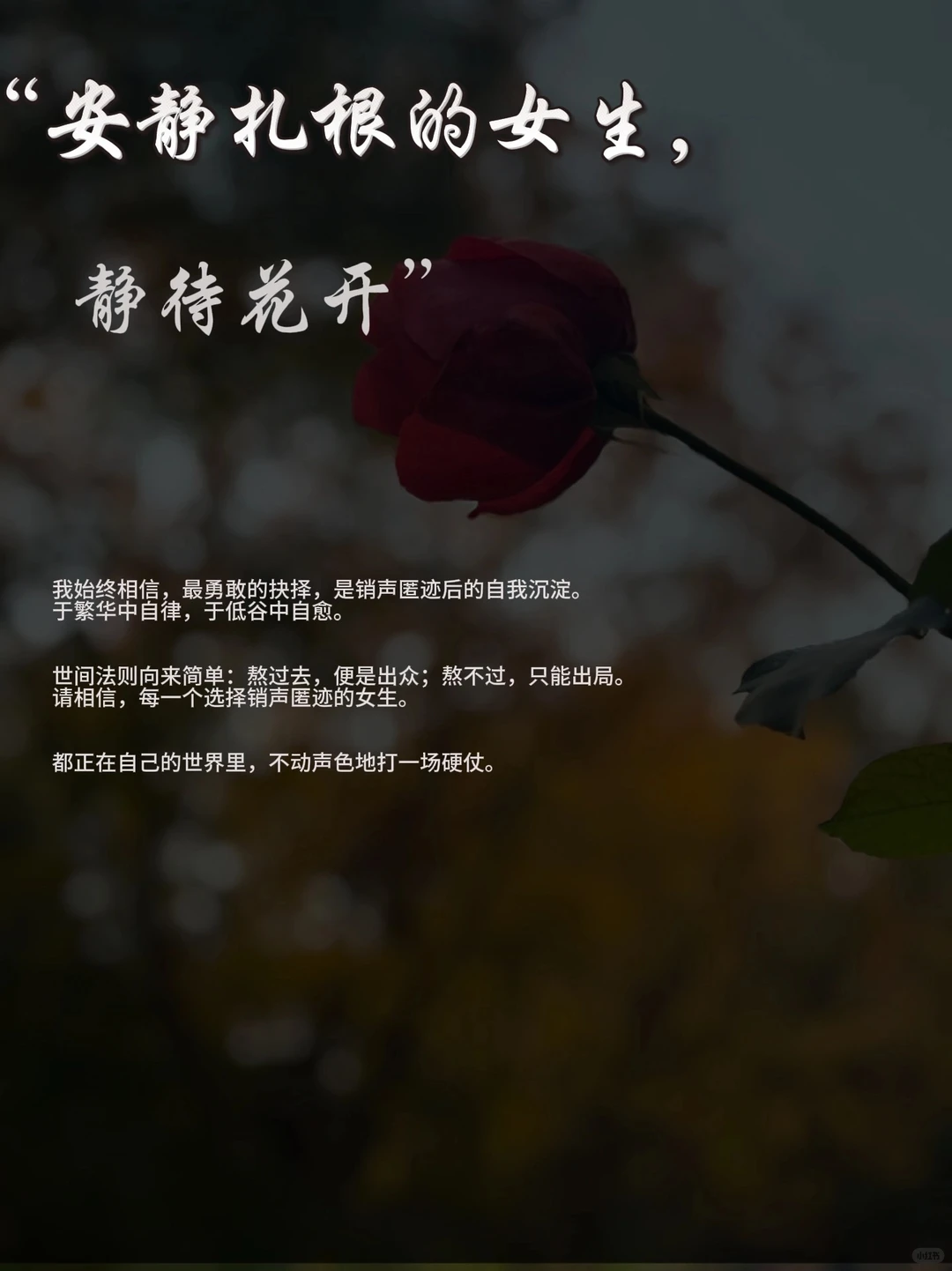 2025，蕞好的状态：销声匿迹