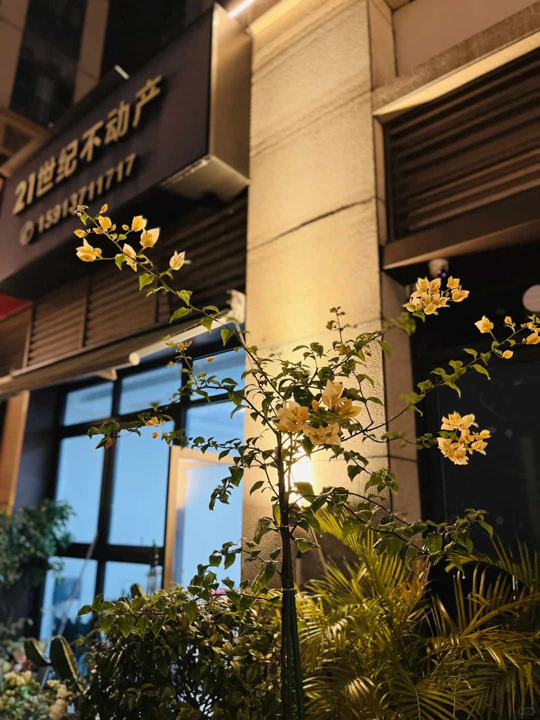 谁懂啊，35岁宝妈下楼就可以上班的快乐！