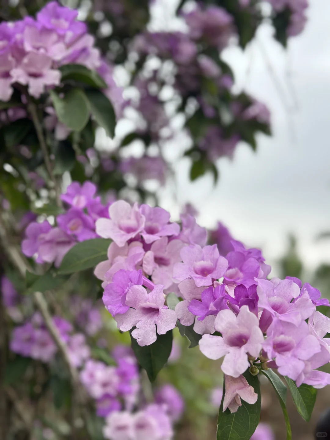 胡歌的“过气论”，藏着中年人蕞珍贵的清醒