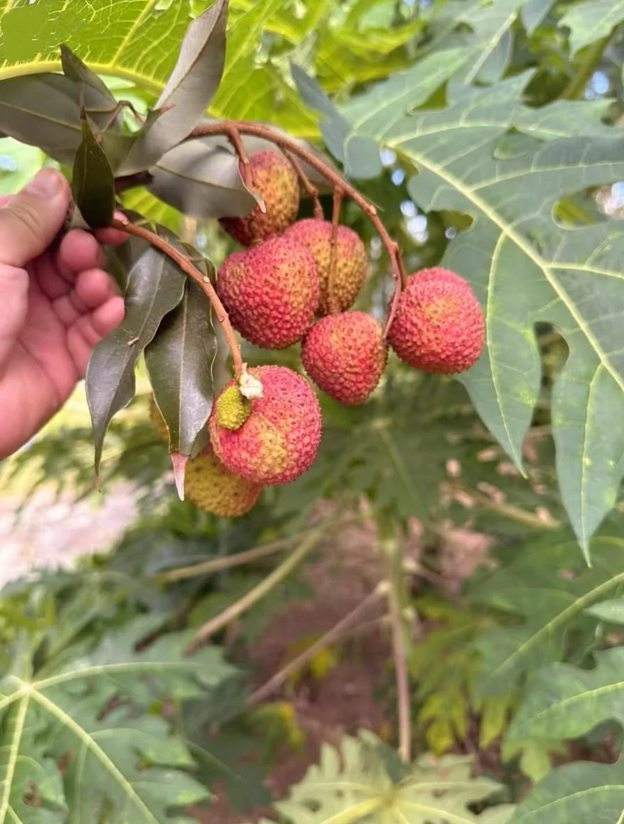 当你为“无用之事”花时间